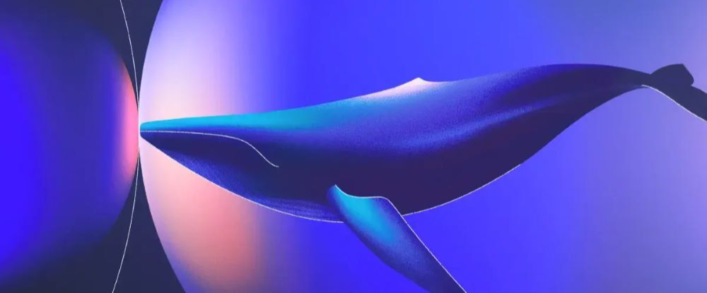 Whalebone 